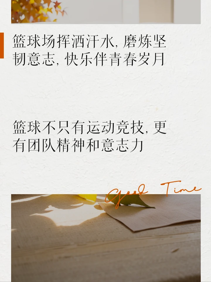 如何选择适合篮球康复训练的器材_0